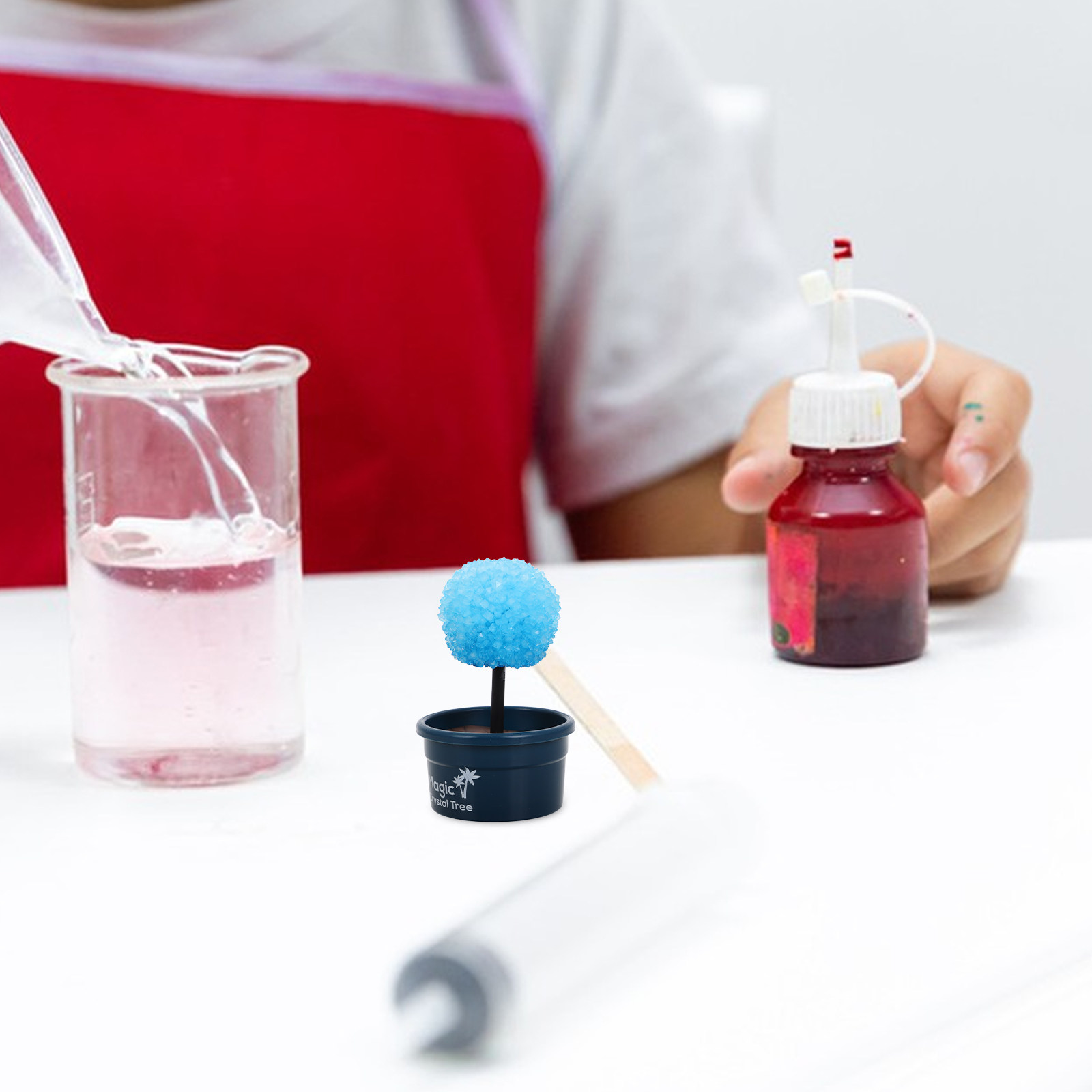 1Set Crystal Craft Set for Chi - Science Experiment Kit ulasan dan harga
